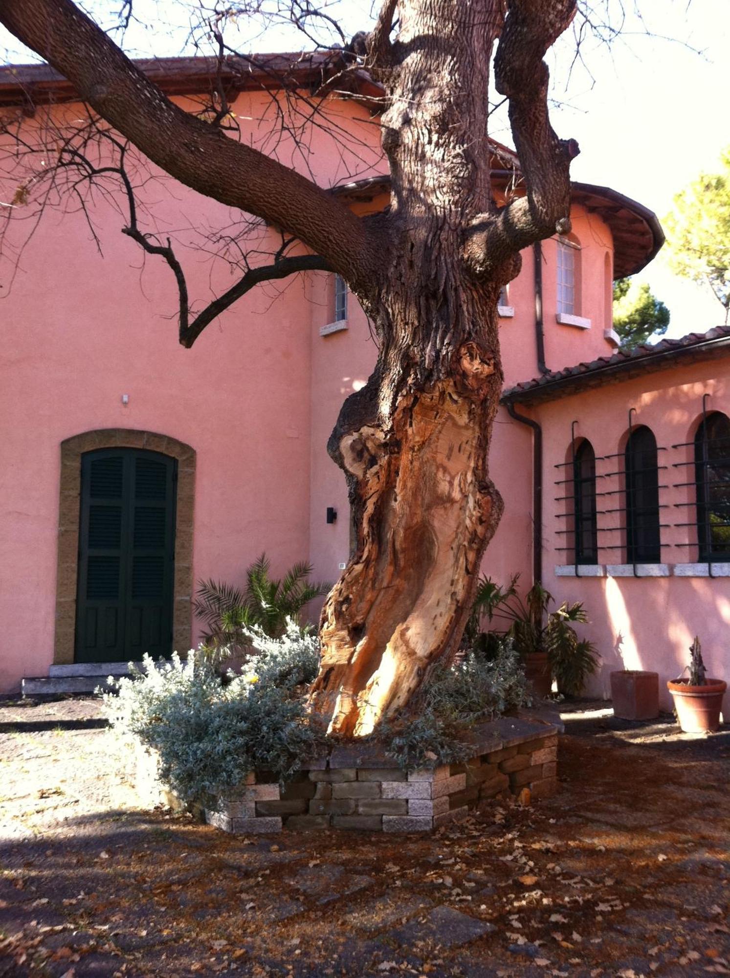 Villa Acquaviva Wine Resort มอนเตเมราโน ภายนอก รูปภาพ