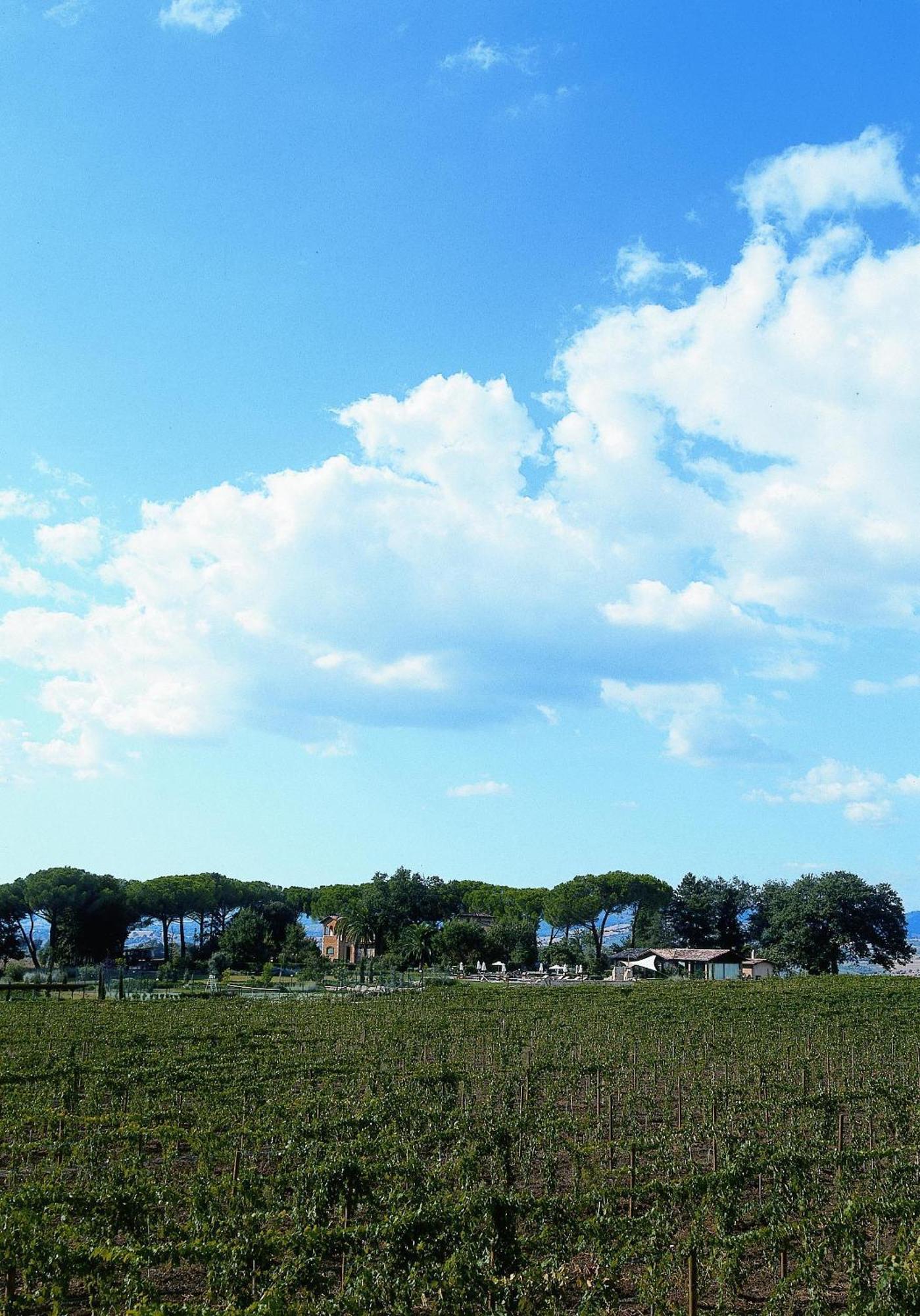 Villa Acquaviva Wine Resort มอนเตเมราโน ภายนอก รูปภาพ