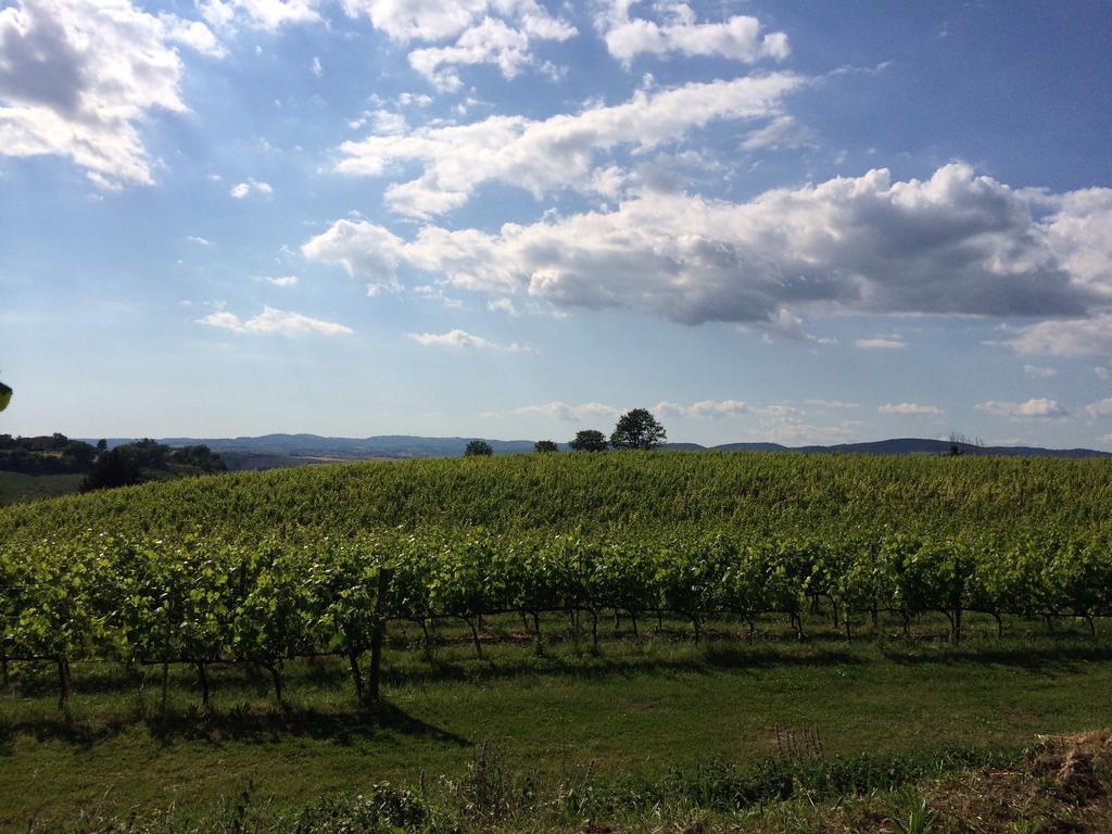 Villa Acquaviva Wine Resort มอนเตเมราโน ภายนอก รูปภาพ