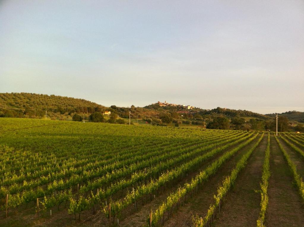 Villa Acquaviva Wine Resort มอนเตเมราโน ภายนอก รูปภาพ